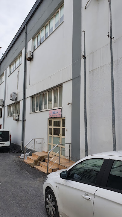 CESAN KAPI KOLLARI & YUNI KİLİT LTD. kapak görseli