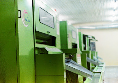 ADA PAMUK LTD (ADA COTTON CARE) kapak görseli