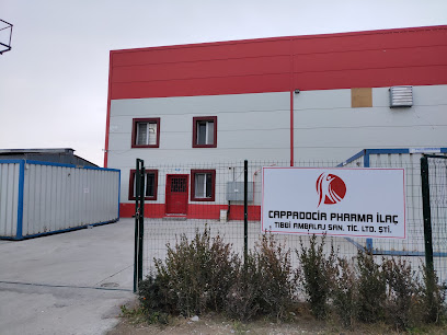 Cappadocia Pharma İlaç Tıbbi Ambalaj Sanayi Ve Ticaret Limited Şirketi kapak görseli