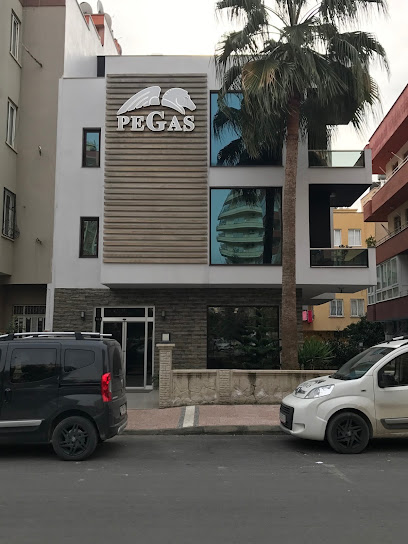 PEGAS; PETROL, DOĞAL GAZ VE ALTYAPI SİSTEMLERİ kapak görseli
