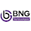 BNG Dış Ticaret logosu