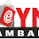 Şeyma Ambalaj - Ambalaj Bursa logosu