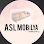 ASL MOBİLYA İSTANBUL logosu