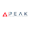 PEAK ENDÜSTRİYEL KAPI SİSTEMLERİ SANAYİ İÇ VE DIŞ TİCARET LİMİTED ŞİRKETİ logosu