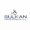 Gülkan Endüstriyel Otomasyon San. ve Tic. A.Ş logosu