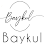 BAYKUL İHRACAT İTHALAT SANAYİ VE TİCARET LİMİTED ŞİRKETİ logosu