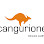Metiş Deri (Cangurione) logosu
