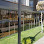 Life Cam Balkon logosu