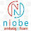 Niobe Ambalaj logosu