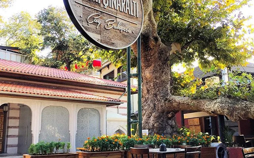 Tarihi Çınaraltı Aile Çay Bahçesi - Çengelköy mekan fotoğrafı
